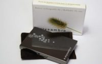 Elysambre Multiple Use Refillable Case und Lidschatten