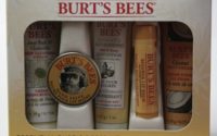 Burt's Bees Essential Kit